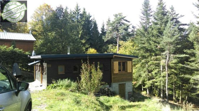 Location chalet 6 personnes au sein d'un parc naturel en Auvergne à St anthème