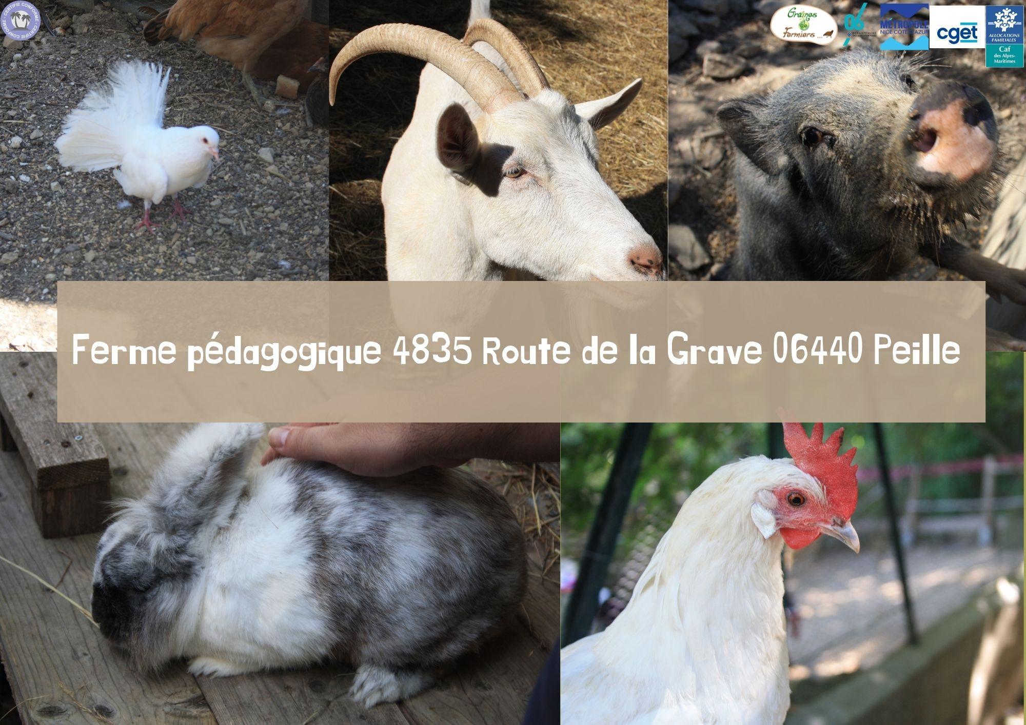 evenement-sortie-provence-alpes-cote-d-azur-alpes-maritimes-visite-a-la-ferme-pedagogique-a-peille-peille1121934394145546568.jpg