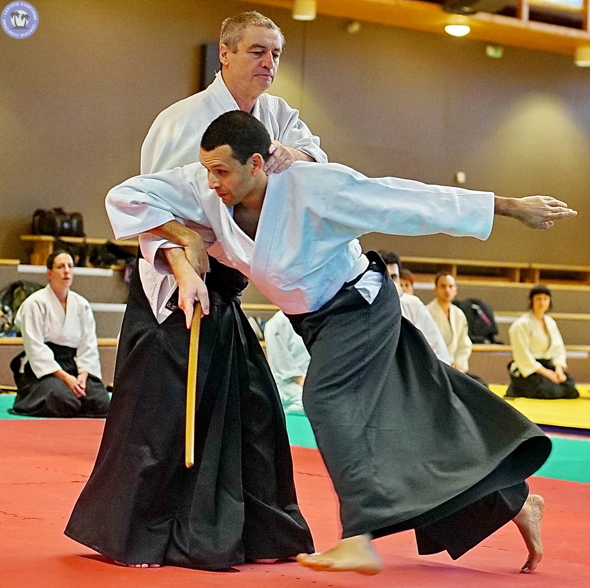 culture-auvergne-rhone-alpes-ain-aikido-bressan6141519274556597073.jpg