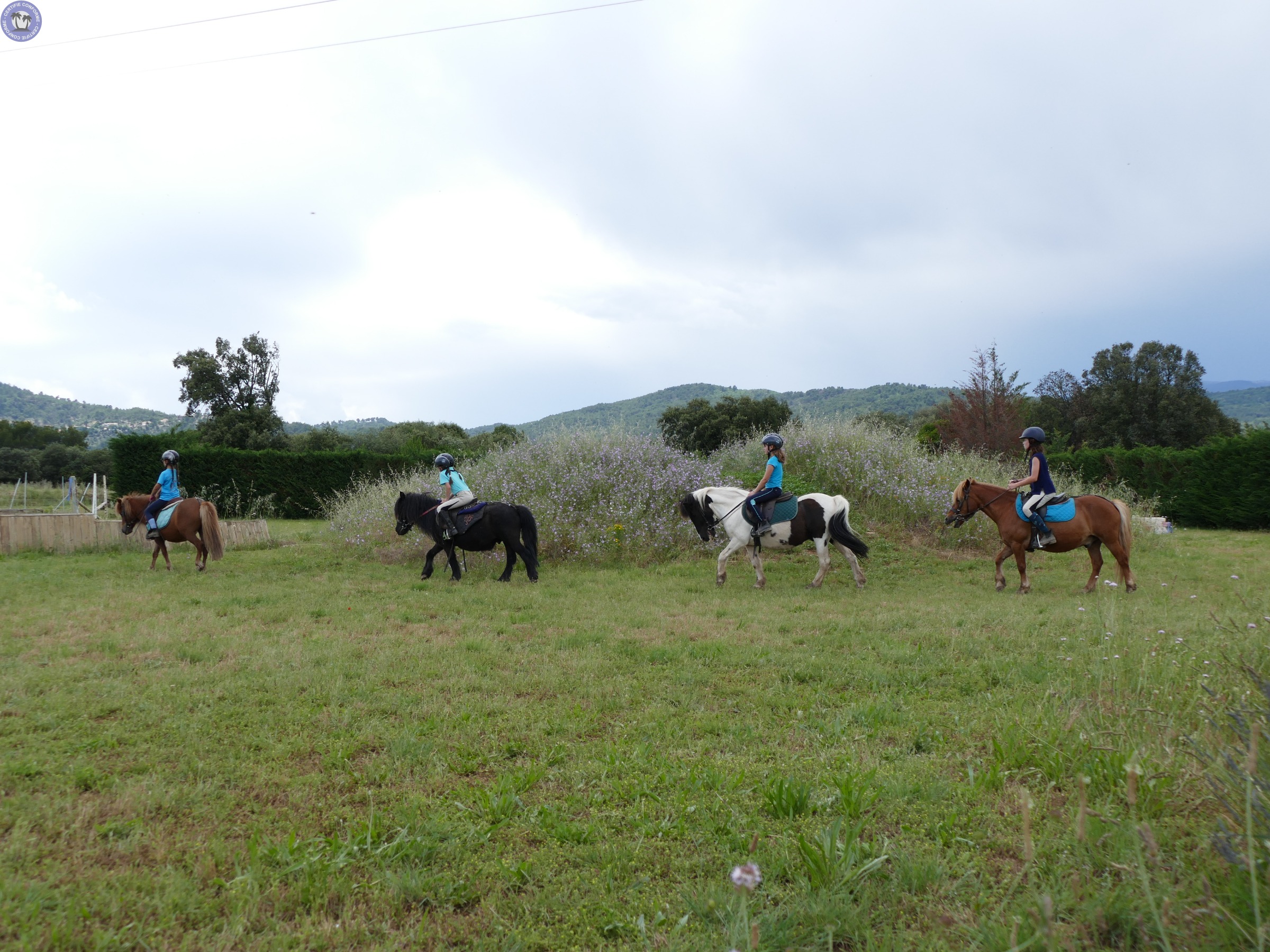 centre-equestre-la-feniere-