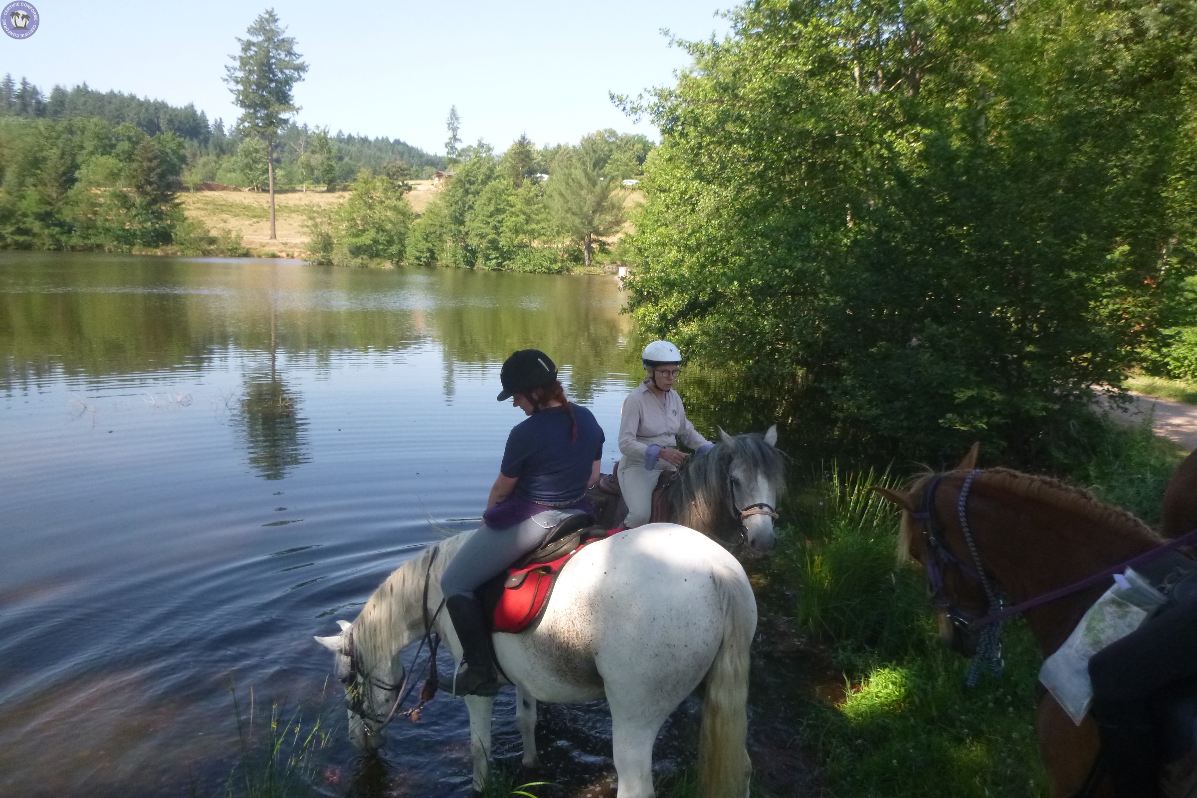 sport-bourgogne-franche-comte-saone-et-loire-equitation-et-randonnee-a-cheval-cheval7121417192428437175.jpg