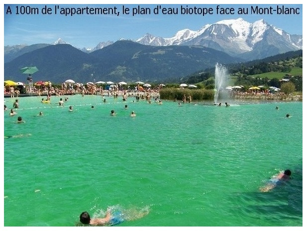 location-saisonniere-auvergne-rhone-alpes-haute-savoie-vos-vacances-a-combloux-quot-la-perle-du-mont-blanc-quot-quot27811293341485456.jpg