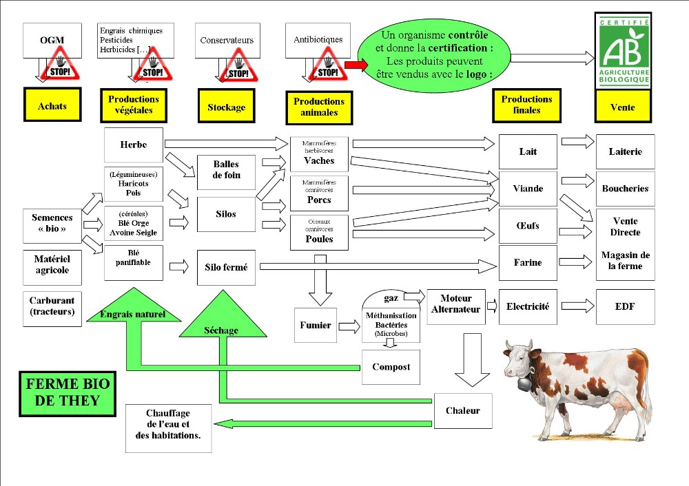 ferme-bio-de-they-2111417434858627479.jpg