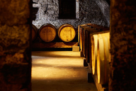 oenotourisme-bourgogne-franche-comte-yonne-degustations-et-visites-de-caves581213222447507477.jpg