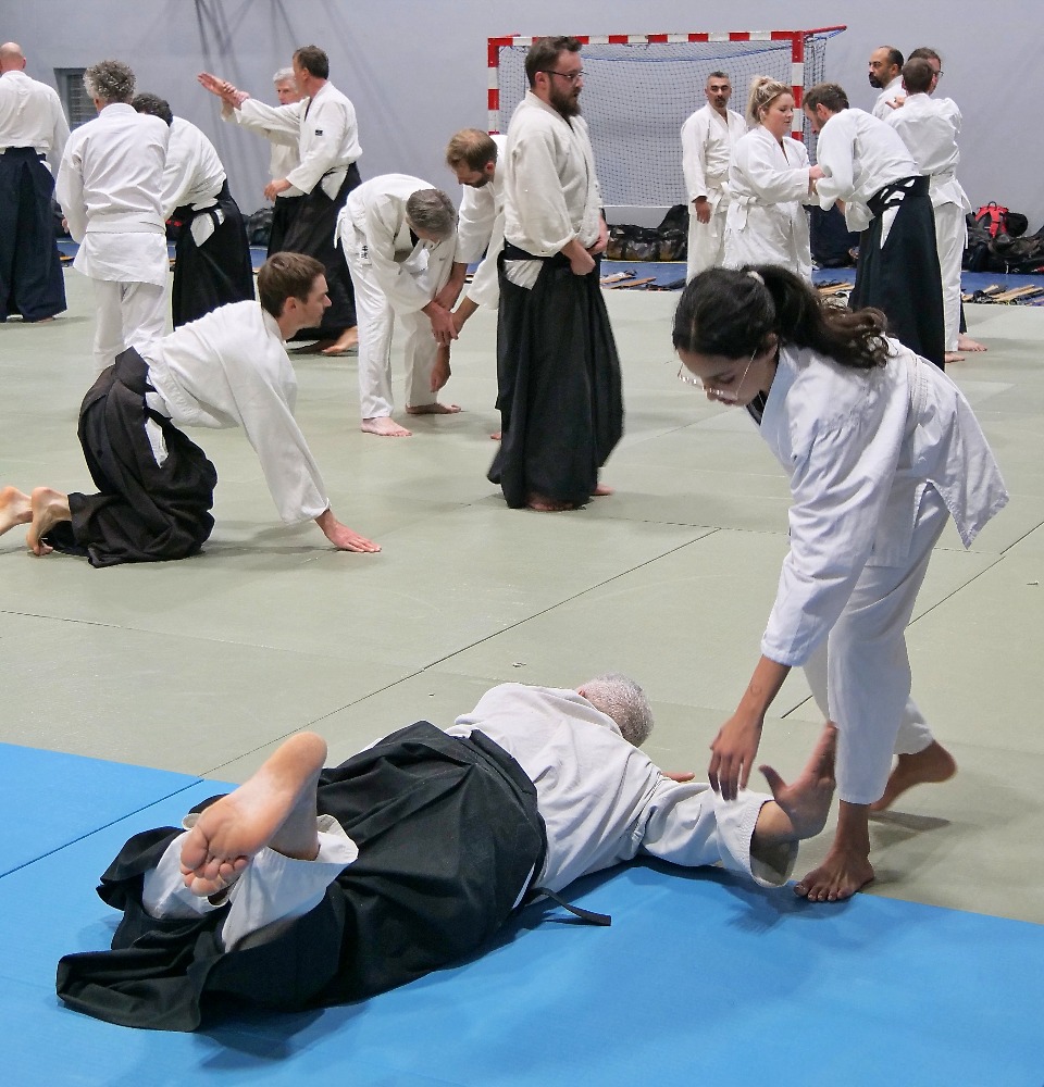 culture-auvergne-rhone-alpes-ain-aikido-bressan10132230323741515759.jpg