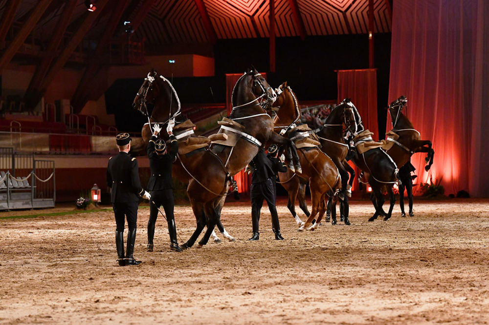 evenement-sortie-pays-de-la-loire-maine-et-loire-le-cadre-noir12343742444651575968.jpg