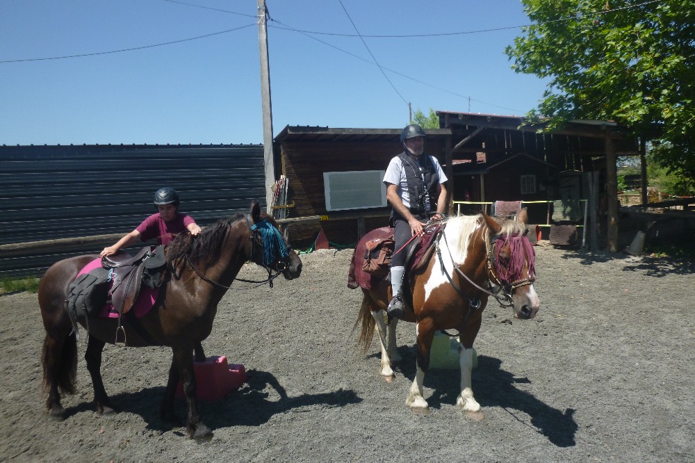 sport-bourgogne-franche-comte-saone-et-loire-equitation-et-randonnee-a-cheval-cheval9182021222531475260.jpg