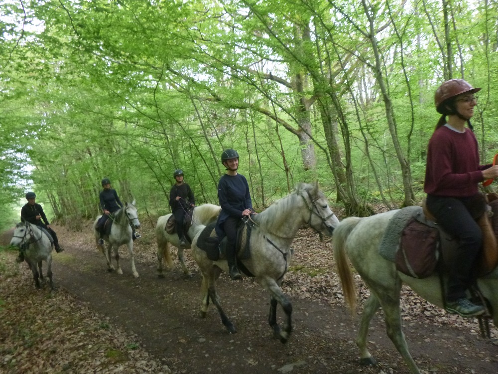 sport-bourgogne-franche-comte-saone-et-loire-equitation-et-randonnee-a-cheval-12142227323442506272.jpg