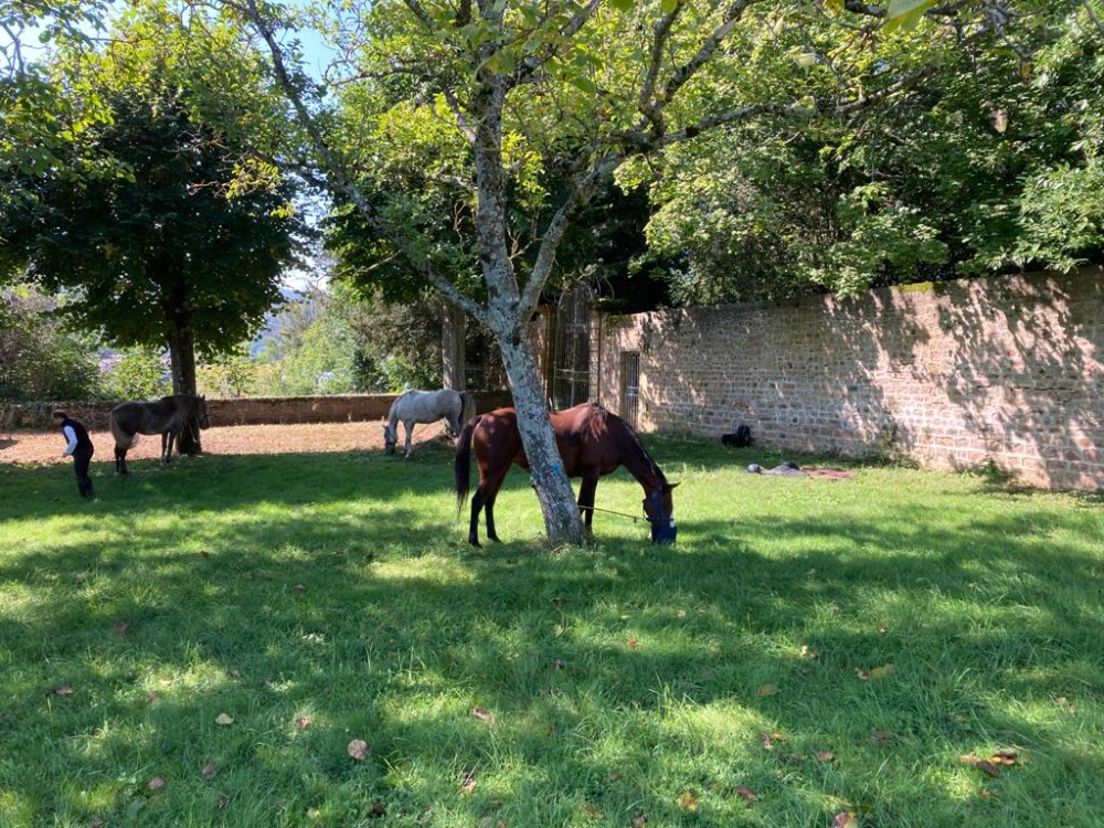 sport-bourgogne-franche-comte-saone-et-loire-equitation-et-randonnee-a-cheval-14202736374445536578.jpg